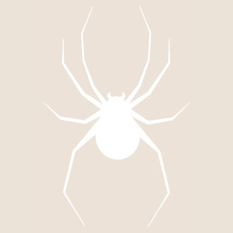 Spinne