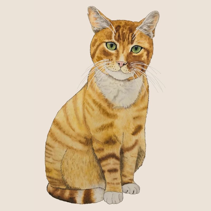 rote Katze sitzend