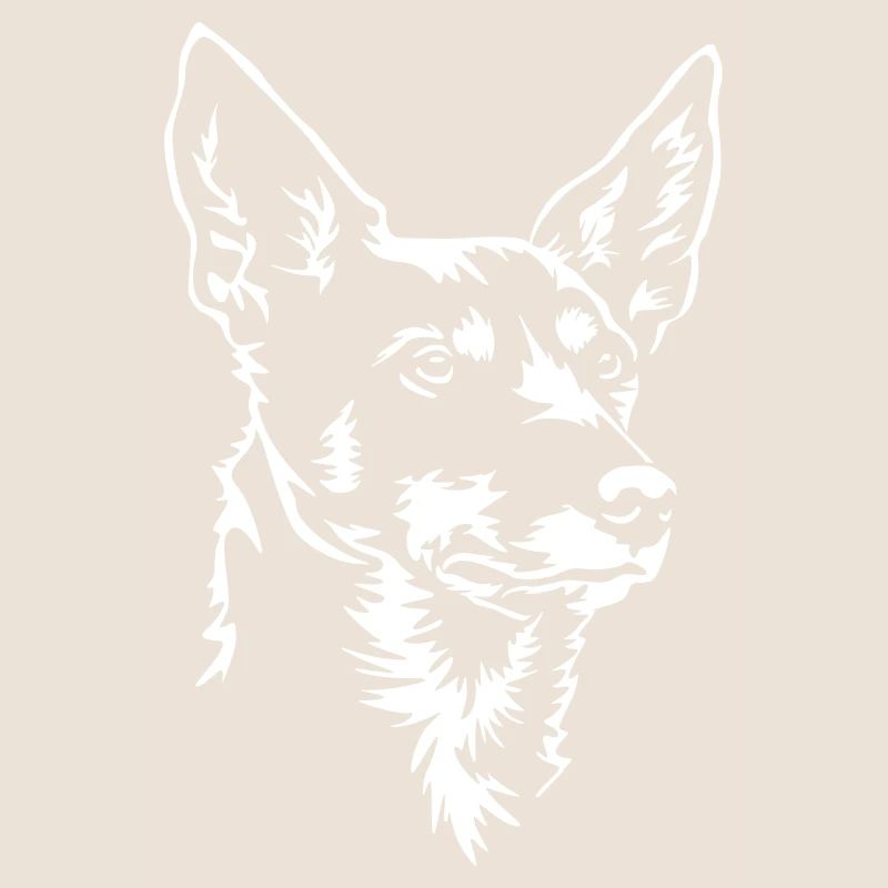 Australian Kelpie Kopf "Black Edition"