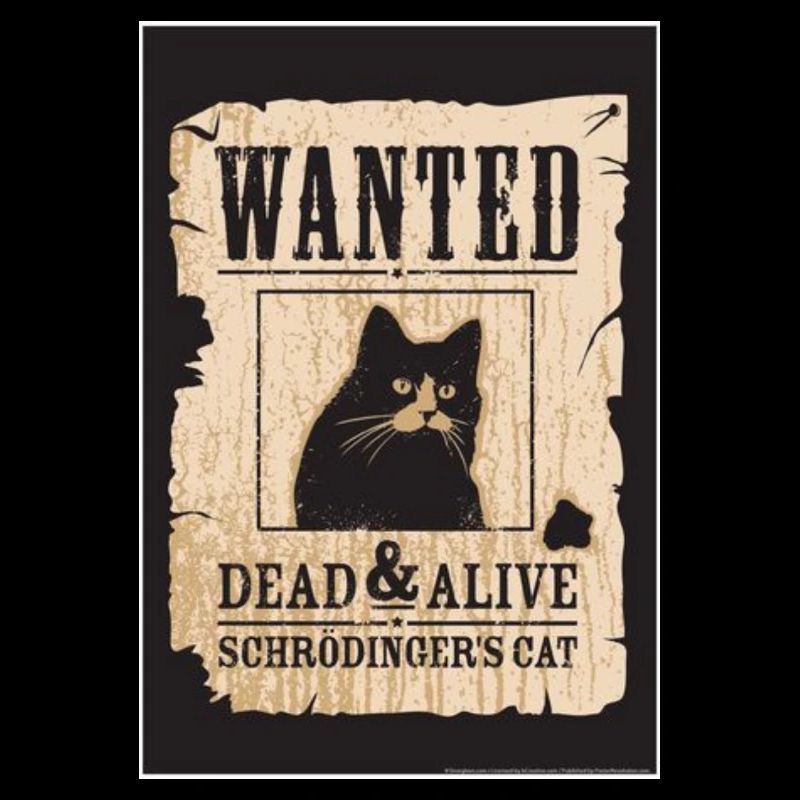 Le chat de Schrodinger