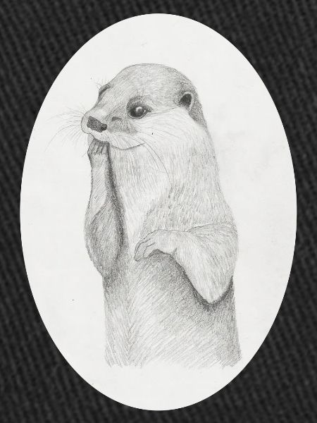 Otter Oval