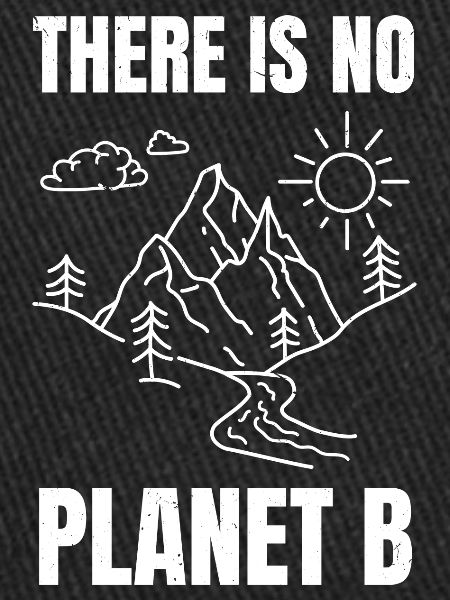 there is no planet b