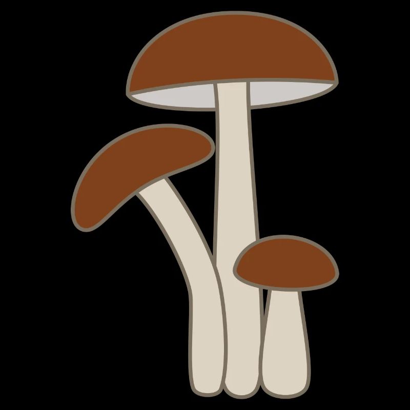 Champignons