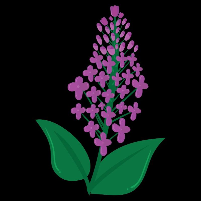 Lilas