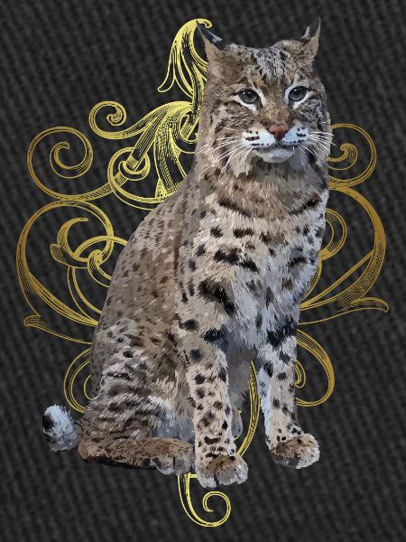 Luchs