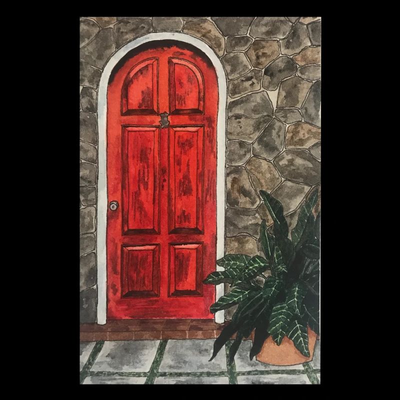 Porte rouge dans mur en pierre naturelle avec plante devant elle