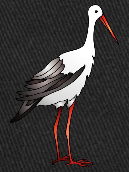 Stork bird