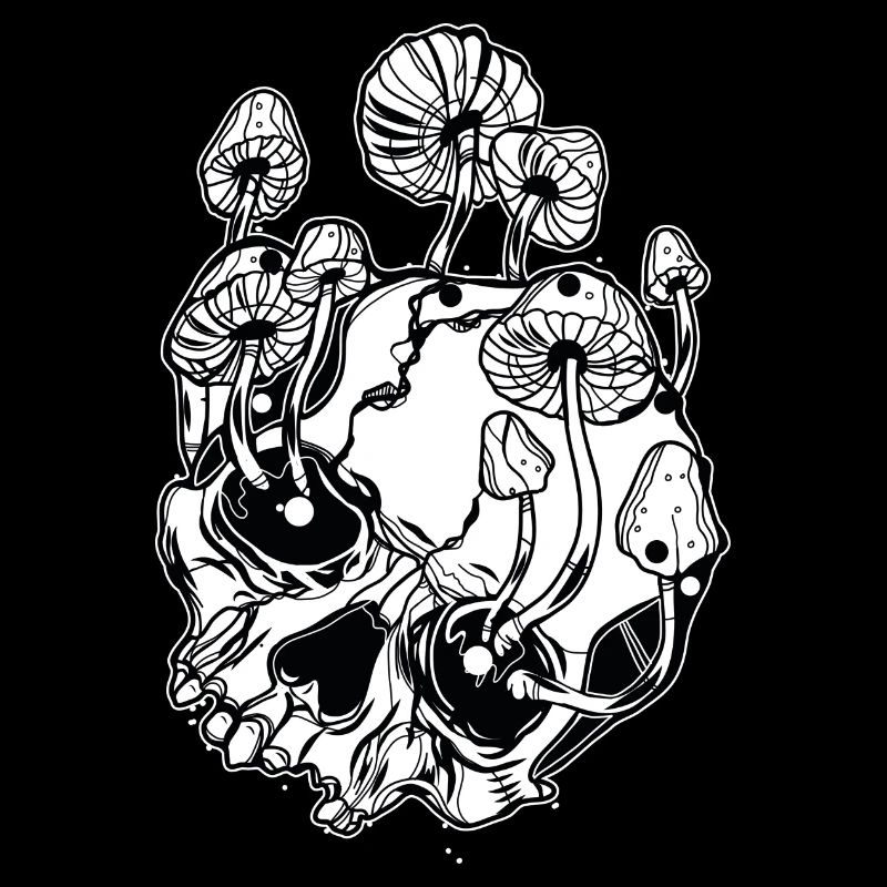 Champignons magiques // Crânes // Illustration