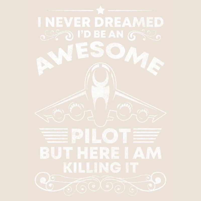 Pilot Luftfahrt Kunstflieger