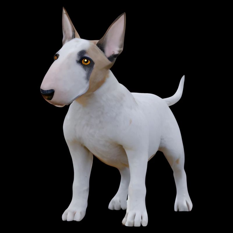 Miniature Bull Terrier