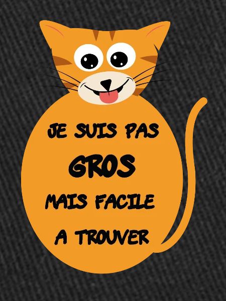 Chat enrobé mignon