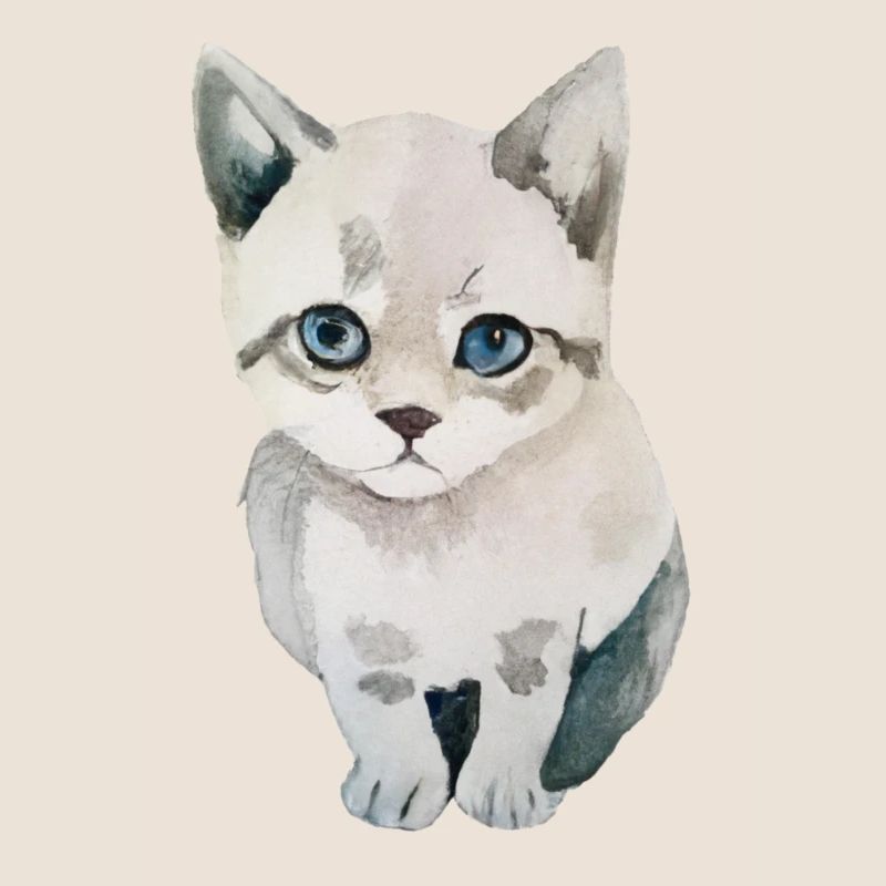 Süße Katze