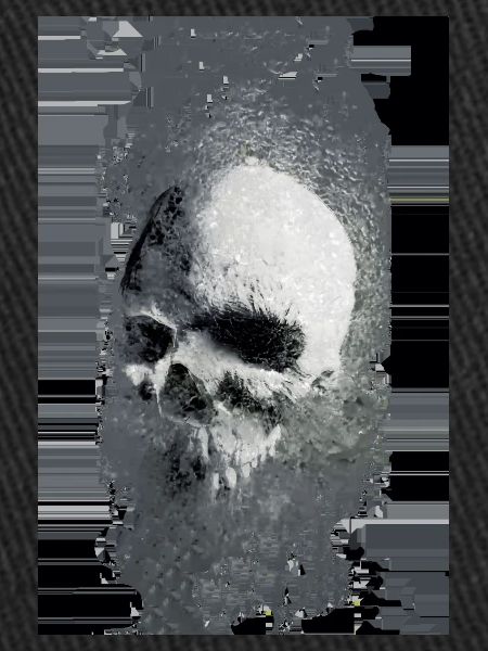 skull bug