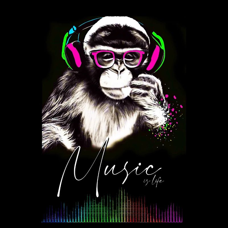 POSTER Affe Musik