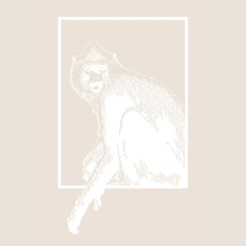 Monkey HanumanLangure