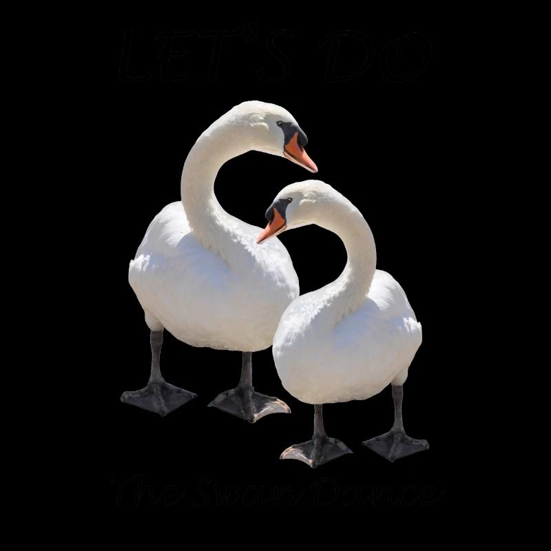 Schwan
