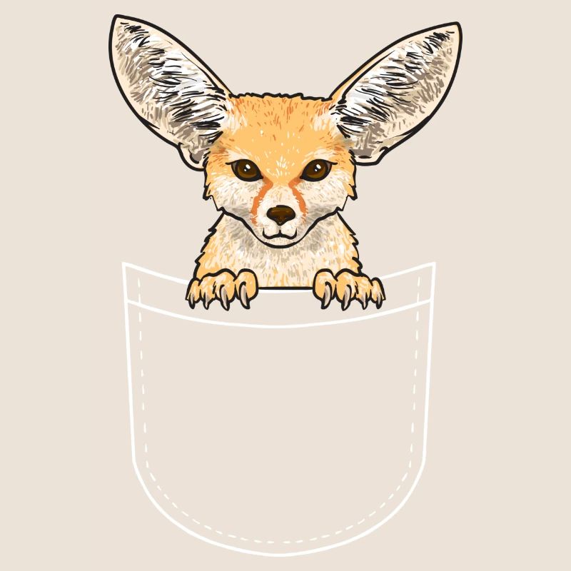 Fennek Fox Fennec Fox Desert Fox