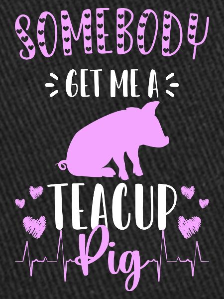 Teacup piggy mignon