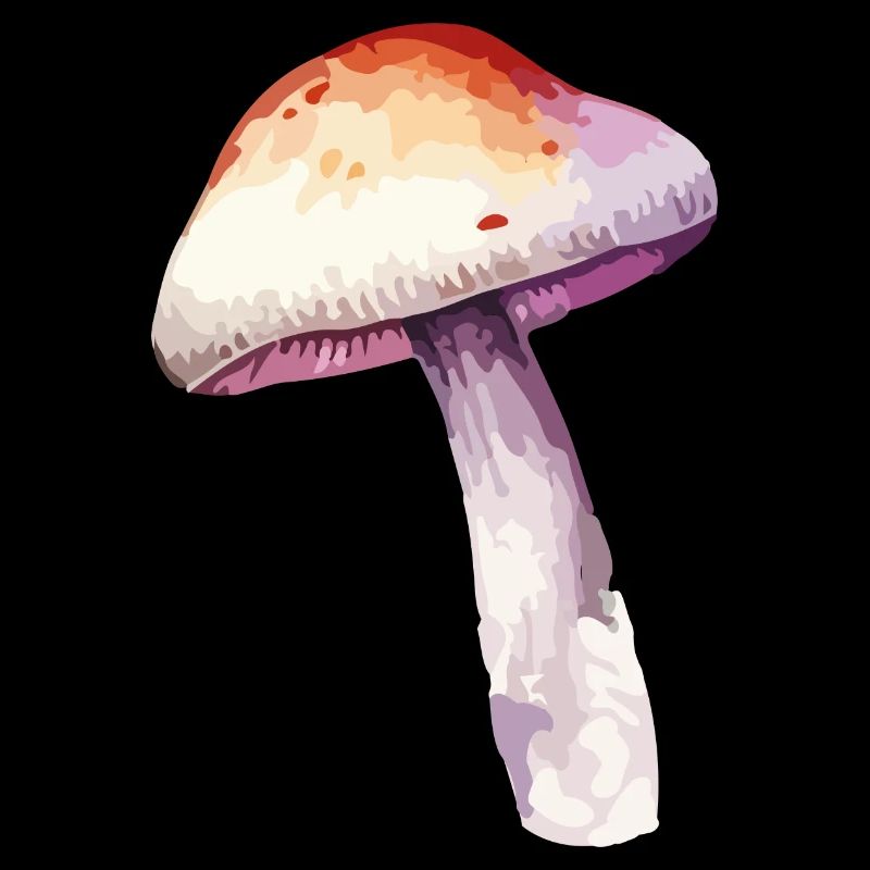 pilz
