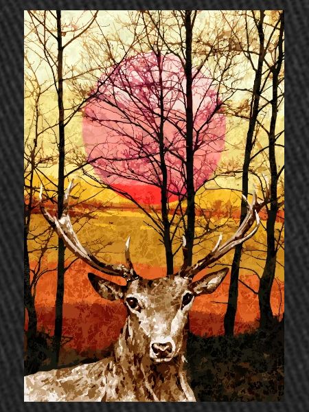 Deer