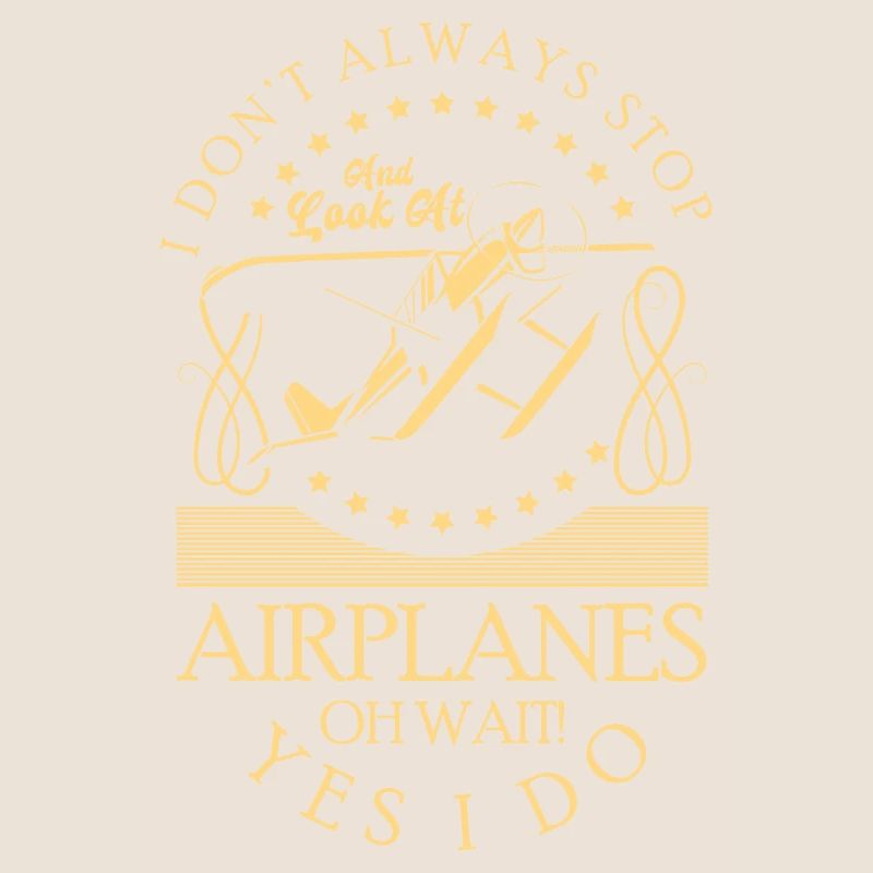 Model Airplane Hobby Pilot Model