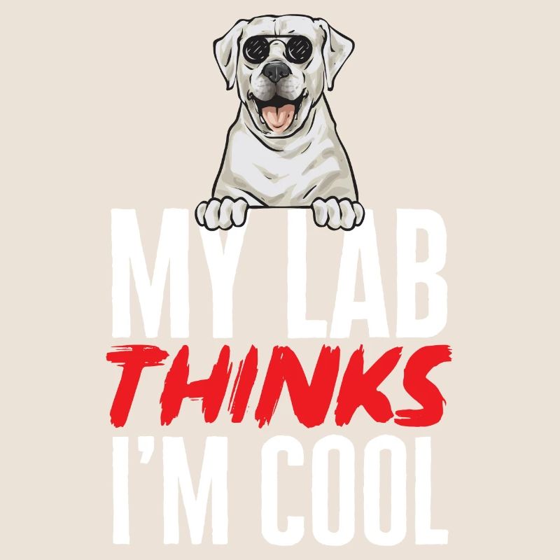 Labrador Retriever blanc Labrador Labrador blanc