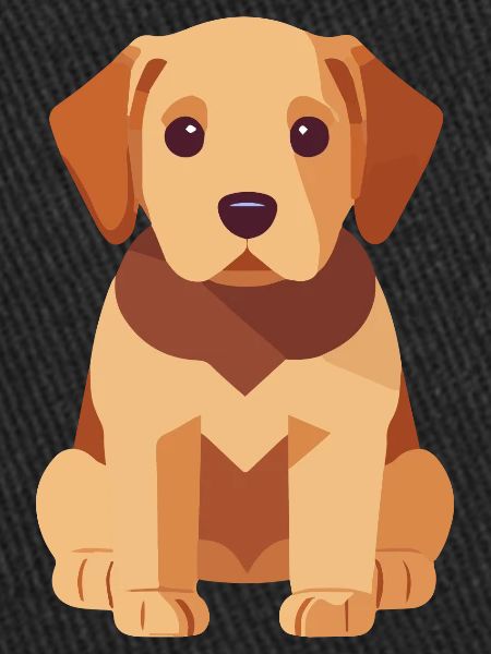 Chiot Labrador Chien mignon