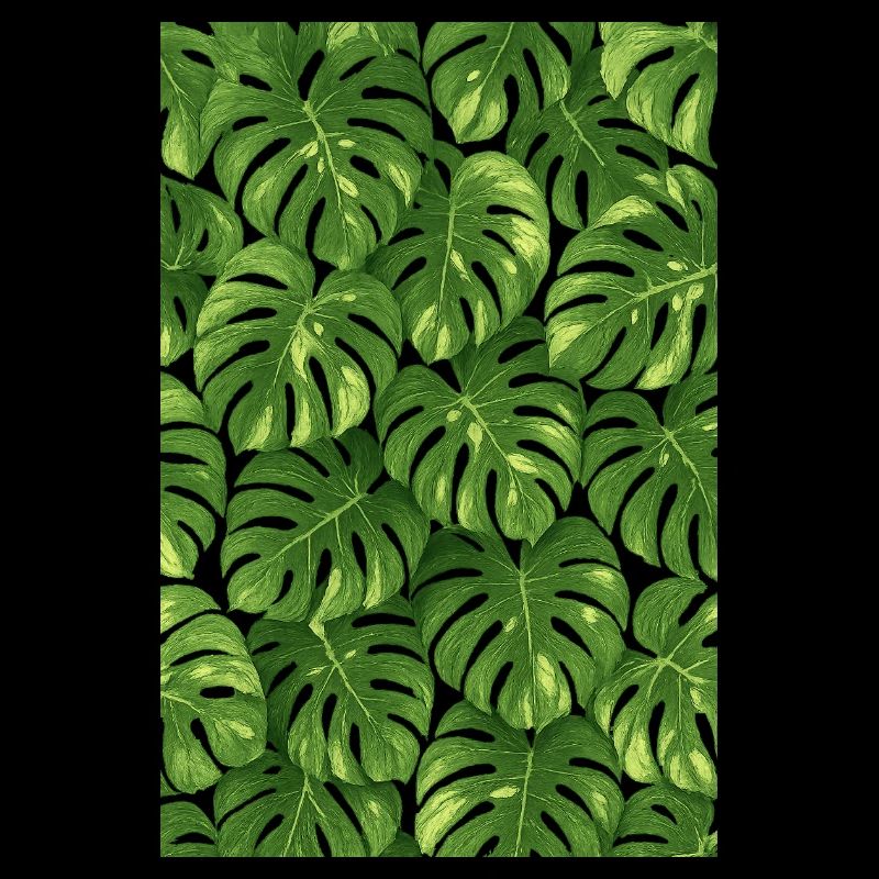 Monstera