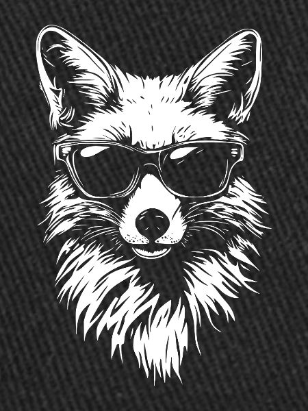 Cool Fox Sunglasses Summer