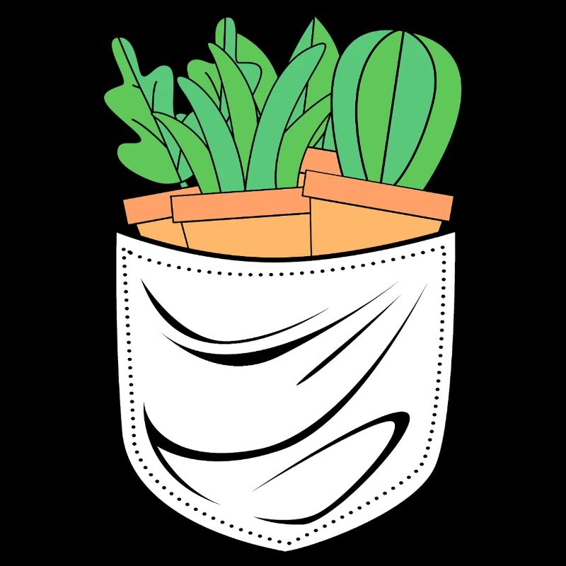 Cacti Plant Cactus
