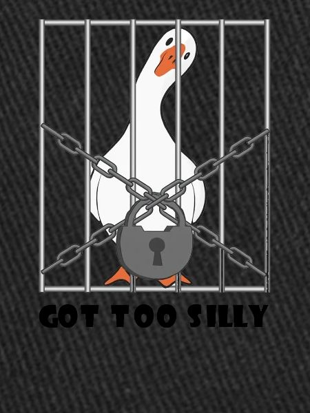 Goose – Got Too Silly