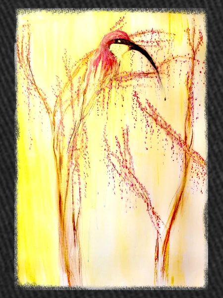 Bienenfresser