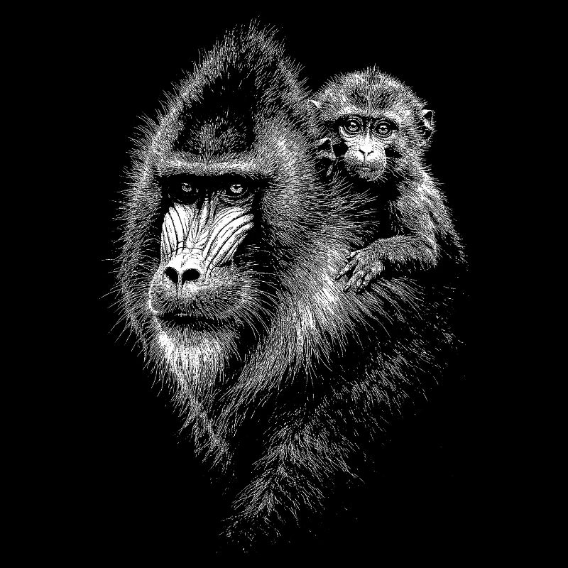 Mandrill