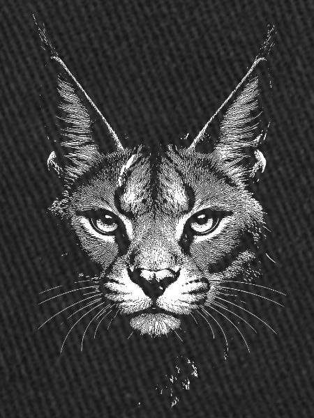 Caracal