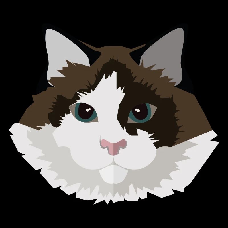 Katze