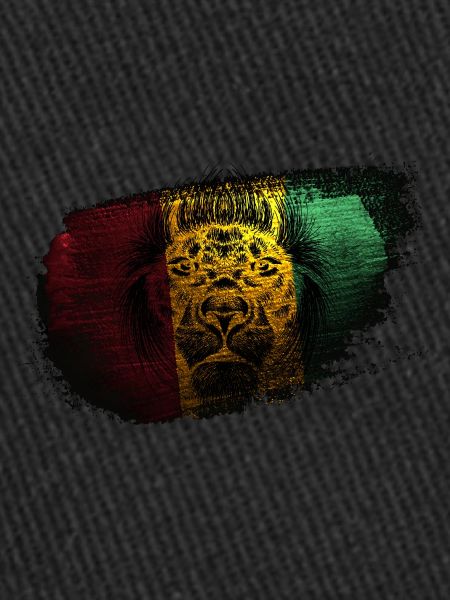 Lion Rastafari Vibration positives