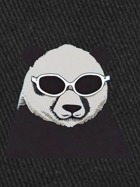 Cool Panda