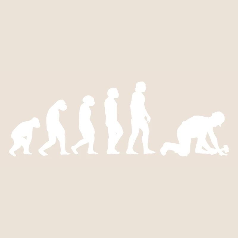Evolution Pflasterer