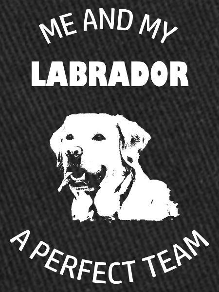 Moi et mon labrador