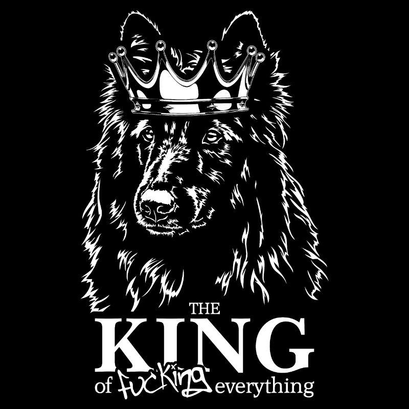 Groenendael Tervueren King of everything Hunde