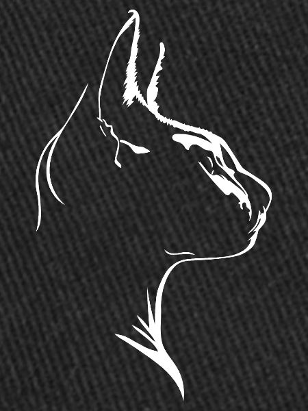 Sphynx chat chats silhouette wilsigns