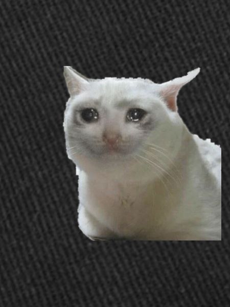 Chat meme