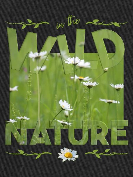 Nature sauvage