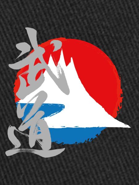 insert tshirt dos2 png