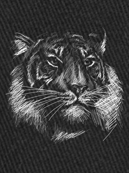 Tête de tigre