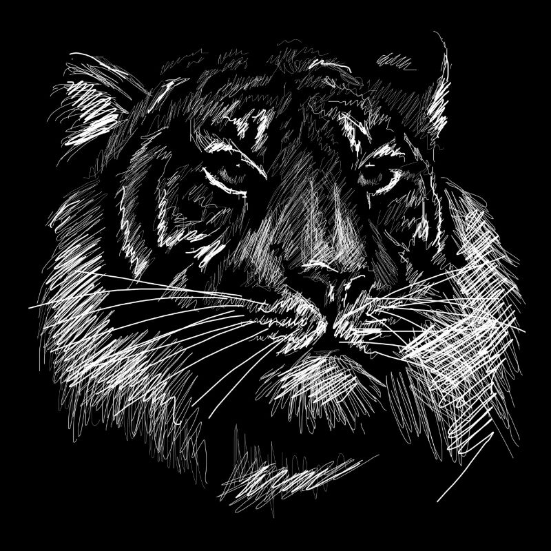 Tête de tigre