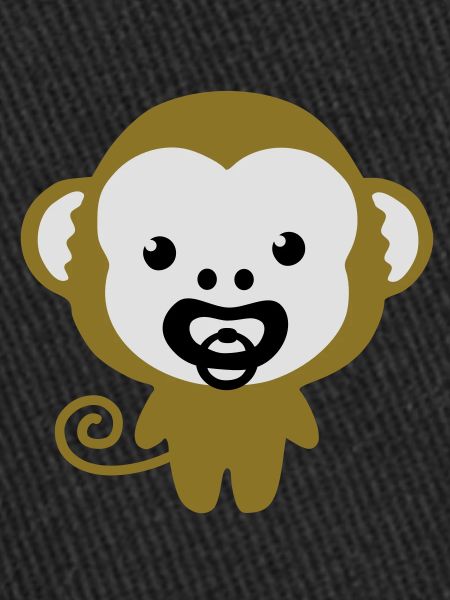 monkey with soother