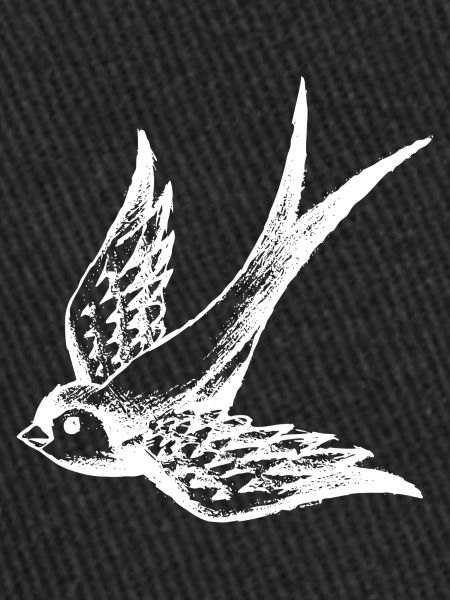 swallow bird summer wings