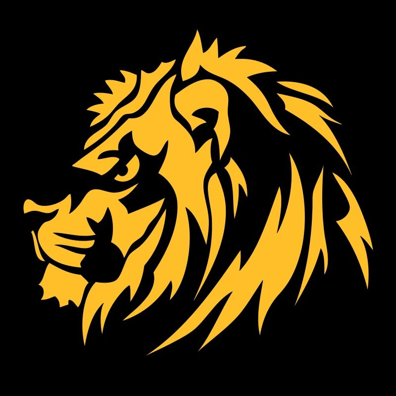 lion sauvage animaux 1710
