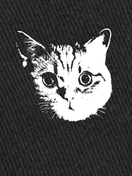 Chat, Chats